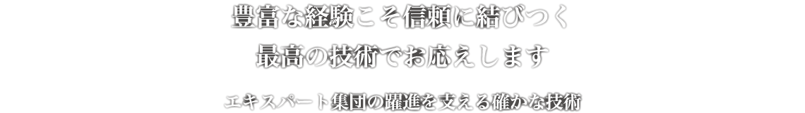 豊富な経験こそ信頼に結びつく最高の技術でお応えします　エキスパート集団の躍進を支える確かな技術